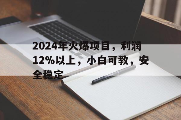 首码2024年火爆项目，利润12%以上，小白可教，安全稳定,副业赚钱项目